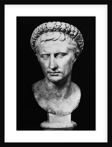 Bust of Augustus by Anonymous