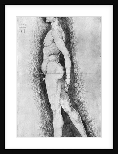 Albrecht Durer Study of Male Anatomy by Anonymous