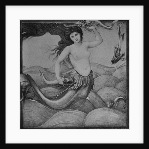 The Mermaid Painting by Anonymous