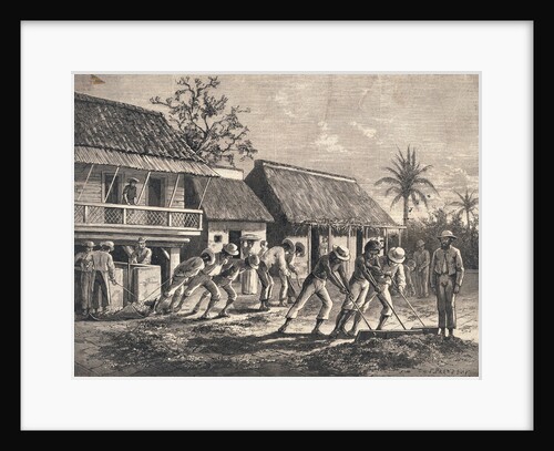 Farmers Spreading Coffee Beans by Anonymous