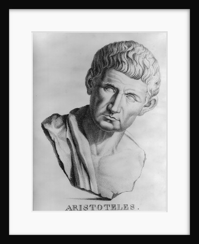 Aristotle, Greek Philosopher by Anonymous