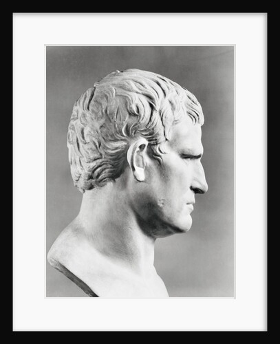 Head of Agrippa Sculpture by Anonymous