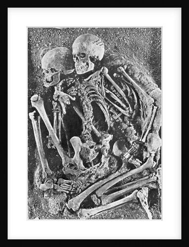 Skeletons from Grimaldi-Grotto by Anonymous