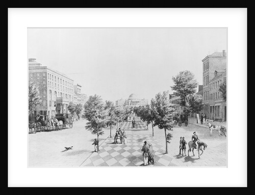 People Strolling Through Washington D.C. by Anonymous