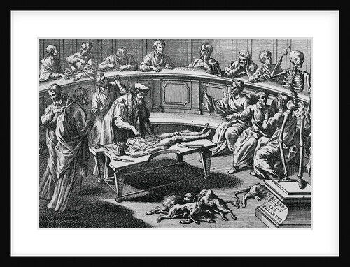 Man Dissecting Corpse at Anatomical Theater by Anonymous