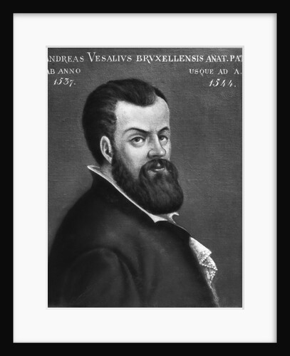 Portrait of Andreas Vesalius by Anonymous