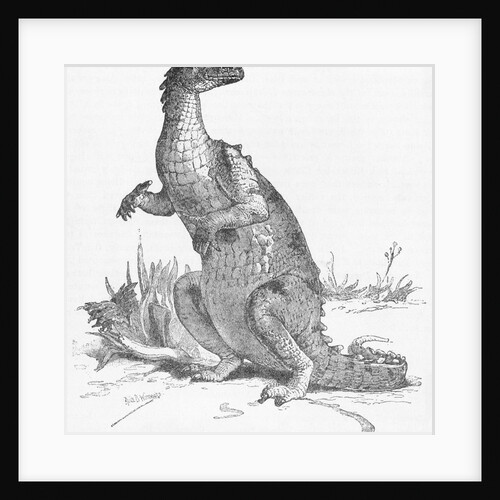 Illustration of Iguanodon by Anonymous