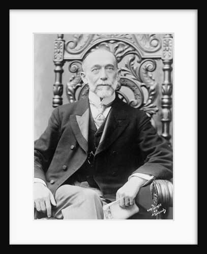 American Senator Thomas C. Platt by Anonymous