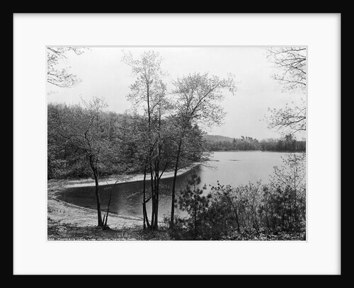 Walden Pond from Henry David Thoreau's Hut by Anonymous
