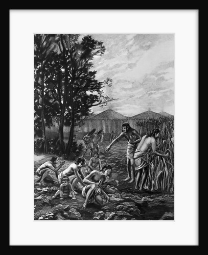 Mound Builders Gathering Their Crops by Anonymous