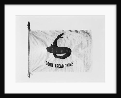 Don't Tread on Me Flag by Anonymous