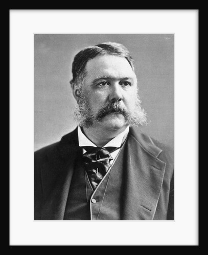 President Chester A. Arthur by Anonymous