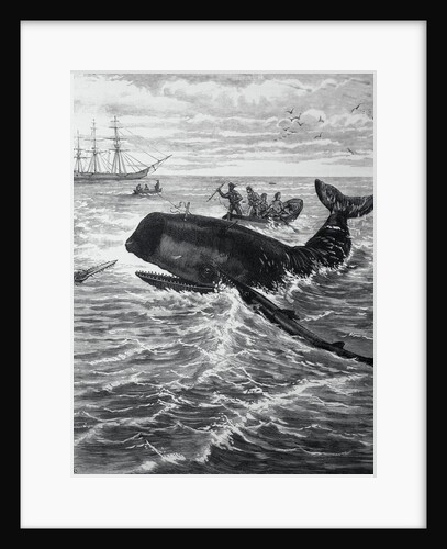 Fishermen Harpooning Sperm Whale by Anonymous