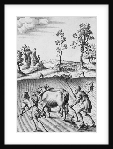 Engraving of Strip Farming by Wenceslaus Hollar