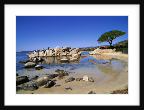 Palombaggia Beach by Anonymous