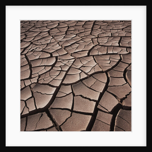 Deep Cracks in the Desert by Anonymous