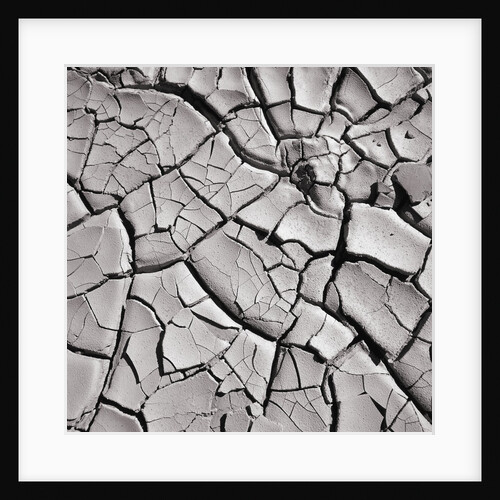 Cracked Desert Mud by Anonymous