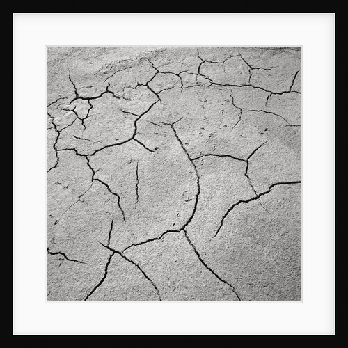 Cracked Desert Mud by Anonymous