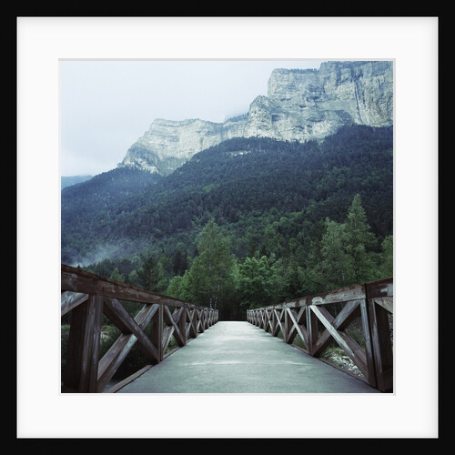 Footbridge Spanning the Base of a Valley by Anonymous
