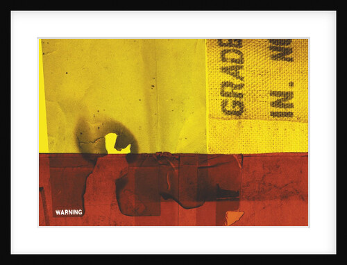 Burnt Canvas Montage by Anonymous