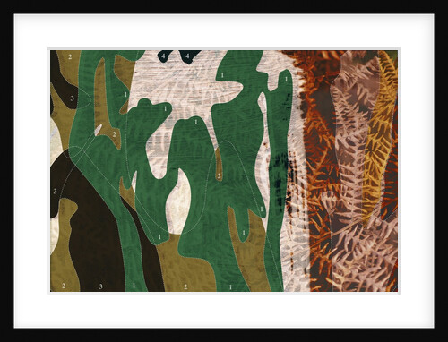 Camouflage Diagram Over Dry Ferns by Anonymous