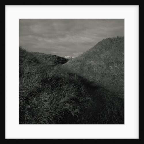 Grass Covered Hills by Anonymous