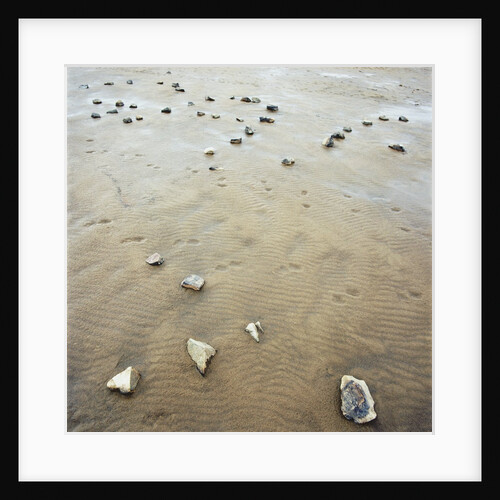 Rock-Strewn Beach by Anonymous