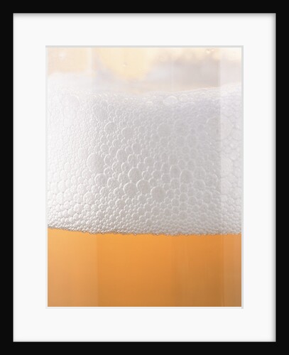 Close-up of a Glass of Lager by Anonymous