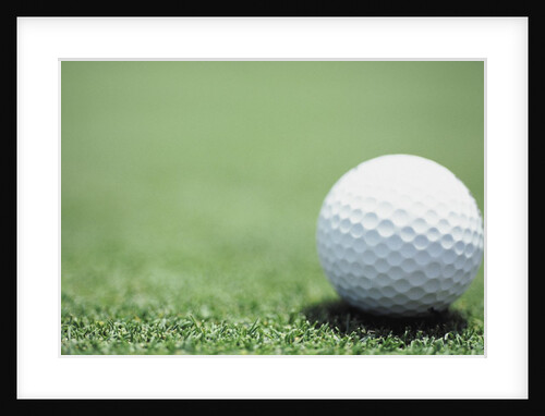 Golf Ball Sitting on the Green by Anonymous