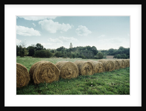Bales of Hay in a Field by Anonymous