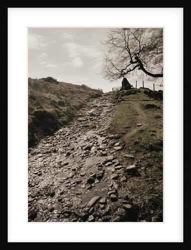 Wet Path Past Countryside by Anonymous