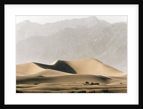 Dunes in the Desert by Anonymous