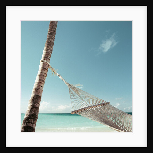 Hammock on Beach by Anonymous