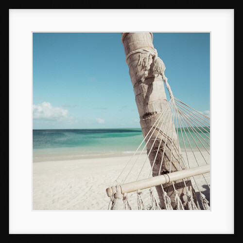 Hammock on Beach by Anonymous