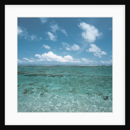 Shallow Area of the Ocean by Anonymous