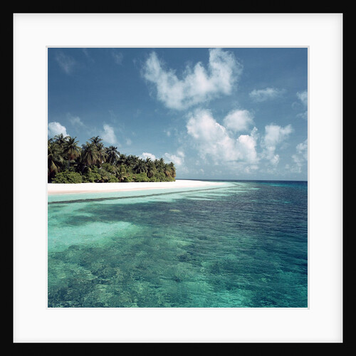 Shallow Water Near Beach by Anonymous