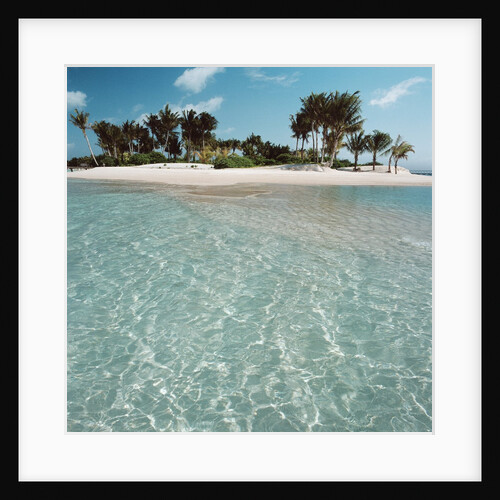 Shallow Water Near Beach by Anonymous