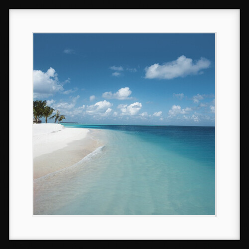Beach and Surf by Anonymous