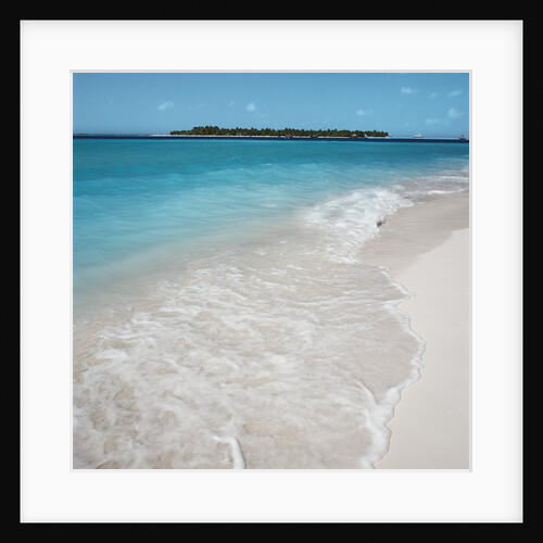 Beach and Surf by Anonymous