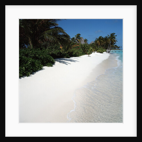 Tropical Beach by Anonymous
