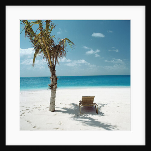 Palm Tree and Beach Chair by Anonymous