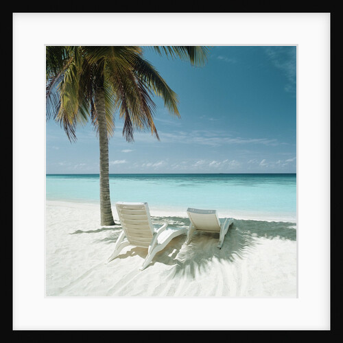 Palm Tree and Beach Chair by Anonymous
