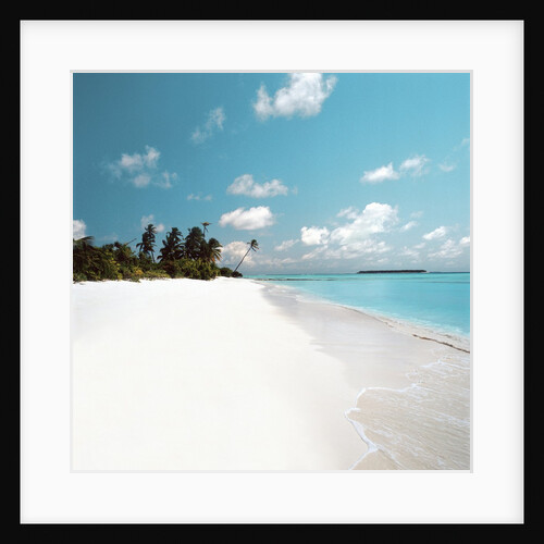 Tropical Beach by Anonymous