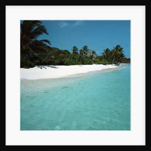 Shallow Water Near a Tropical Beach by Anonymous