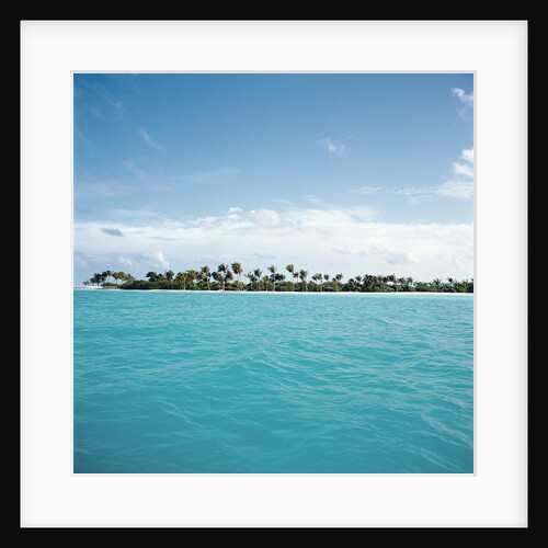 Shallow Water Near Tropical Island by Anonymous