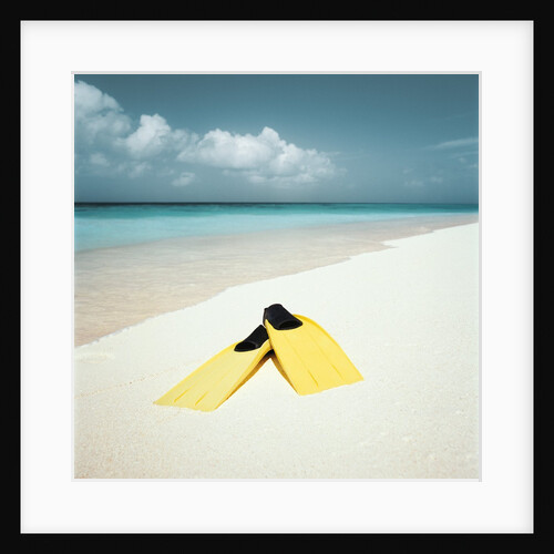 Swim Fins on the Beach by Anonymous