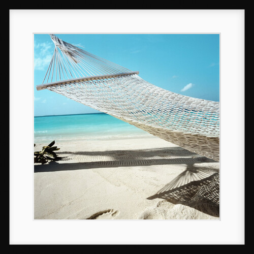 Hammock at the Beach by Anonymous
