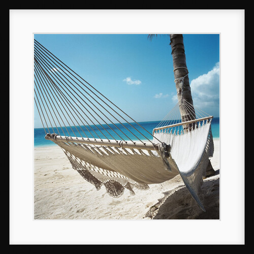 Hammock on a Beach by Anonymous