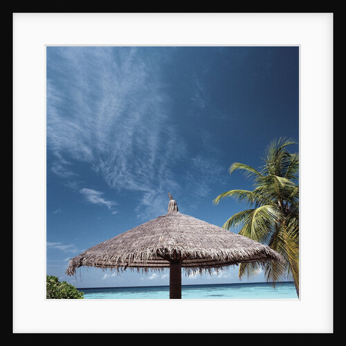 Cabana and Palm Trees by Anonymous