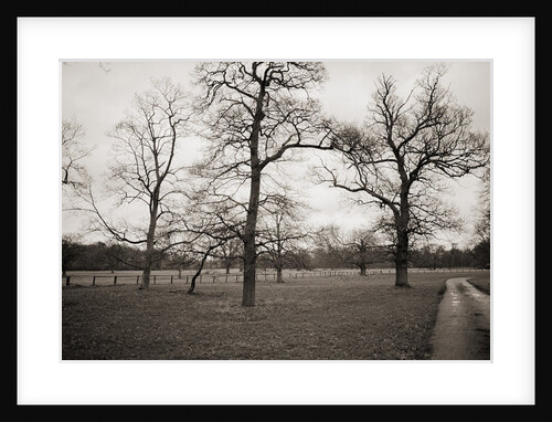 Countryside in Winter by Anonymous